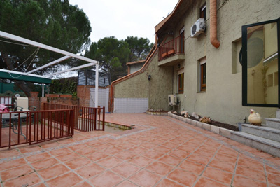 Image Image